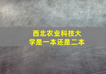 西北农业科技大学是一本还是二本