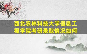 西北农林科技大学信息工程学院考研录取情况如何