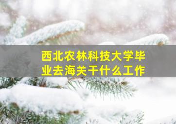 西北农林科技大学毕业去海关干什么工作