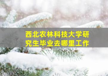 西北农林科技大学研究生毕业去哪里工作