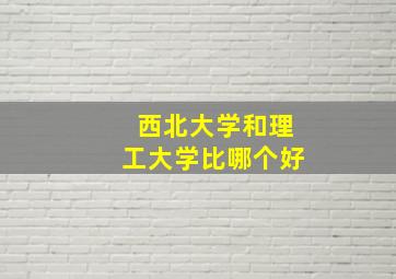 西北大学和理工大学比哪个好