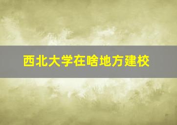 西北大学在啥地方建校