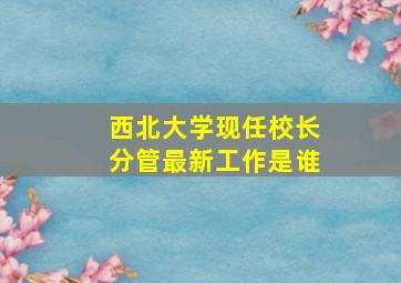 西北大学现任校长分管最新工作是谁