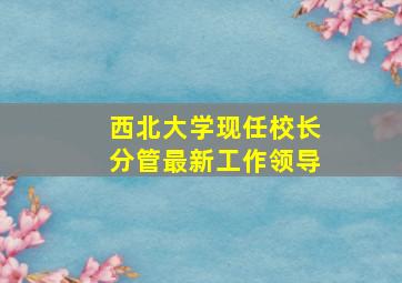 西北大学现任校长分管最新工作领导