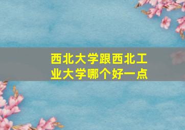 西北大学跟西北工业大学哪个好一点