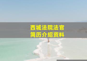 西城法院法官简历介绍资料