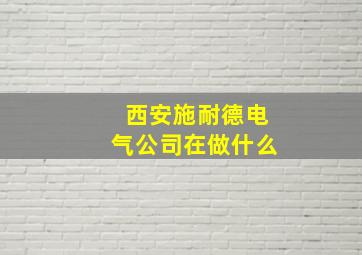 西安施耐德电气公司在做什么