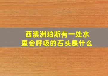 西澳洲珀斯有一处水里会呼吸的石头是什么