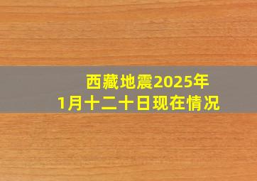 西藏地震2025年1月十二十日现在情况