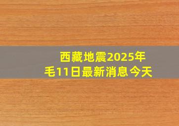 西藏地震2025年毛11日最新消息今天