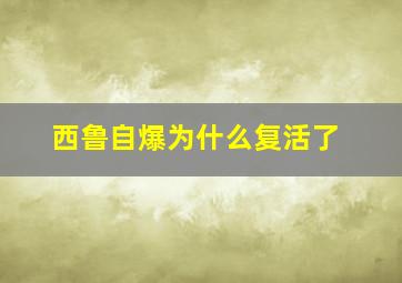 西鲁自爆为什么复活了