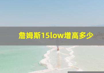 詹姆斯15low增高多少