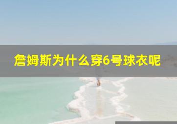 詹姆斯为什么穿6号球衣呢