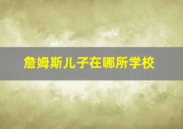 詹姆斯儿子在哪所学校