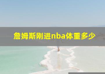 詹姆斯刚进nba体重多少