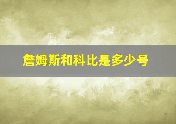 詹姆斯和科比是多少号