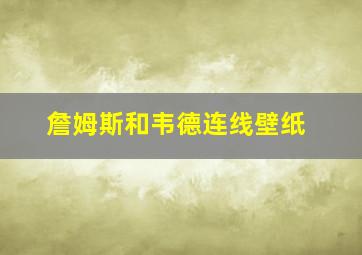 詹姆斯和韦德连线壁纸