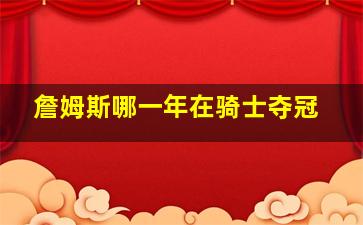 詹姆斯哪一年在骑士夺冠