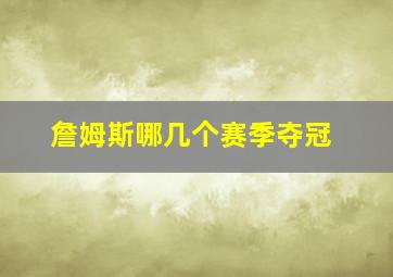 詹姆斯哪几个赛季夺冠