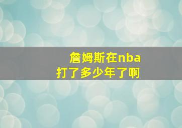 詹姆斯在nba打了多少年了啊