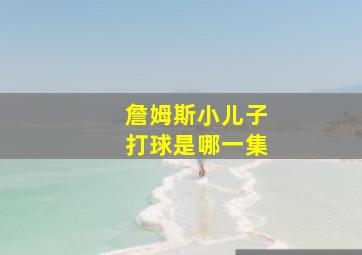 詹姆斯小儿子打球是哪一集