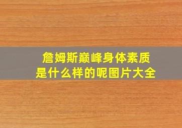 詹姆斯巅峰身体素质是什么样的呢图片大全