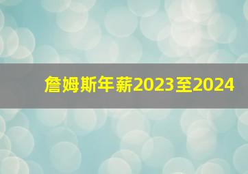 詹姆斯年薪2023至2024