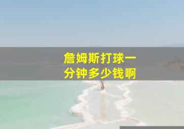 詹姆斯打球一分钟多少钱啊