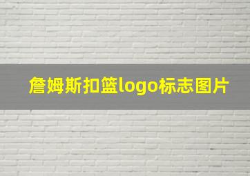 詹姆斯扣篮logo标志图片