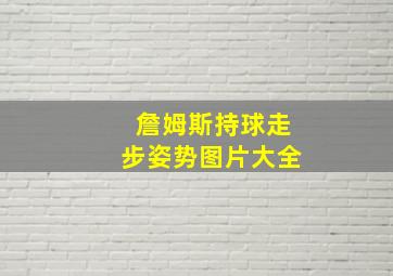 詹姆斯持球走步姿势图片大全