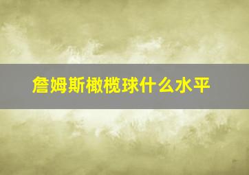 詹姆斯橄榄球什么水平