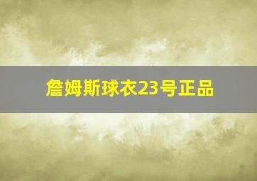 詹姆斯球衣23号正品