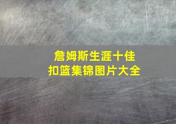 詹姆斯生涯十佳扣篮集锦图片大全