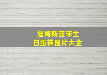 詹姆斯篮球生日蛋糕图片大全