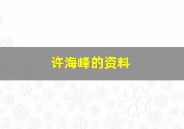 许海峰的资料