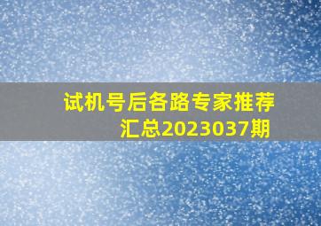 试机号后各路专家推荐汇总2023037期