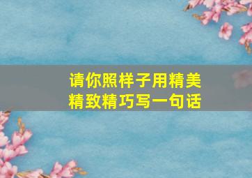 请你照样子用精美精致精巧写一句话