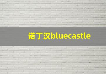 诺丁汉bluecastle