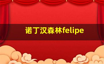 诺丁汉森林felipe