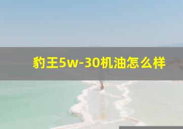 豹王5w-30机油怎么样