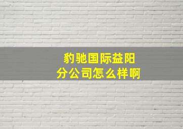 豹驰国际益阳分公司怎么样啊