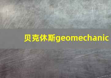 贝克休斯geomechanic