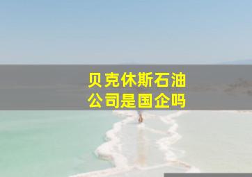 贝克休斯石油公司是国企吗