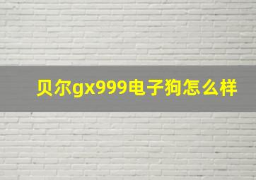 贝尔gx999电子狗怎么样