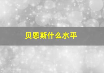 贝恩斯什么水平