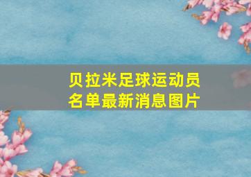 贝拉米足球运动员名单最新消息图片