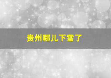 贵州哪儿下雪了