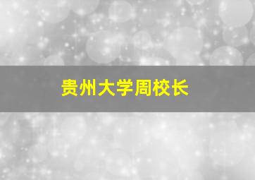 贵州大学周校长