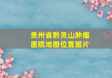 贵州省黔灵山肿瘤医院地图位置图片