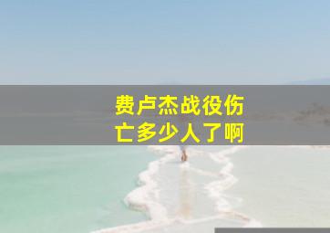 费卢杰战役伤亡多少人了啊